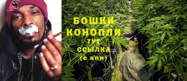 не бодяженный Строитель