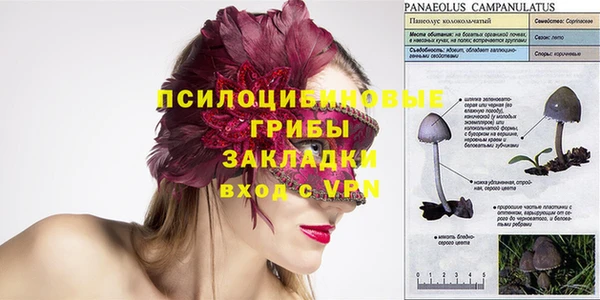 меф Белокуриха