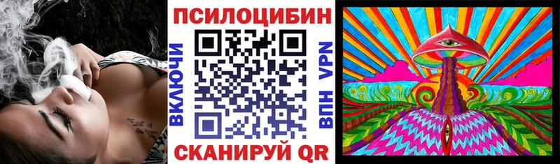 Псилоцибиновые грибы Psilocybe  кракен онион  Гремячинск 